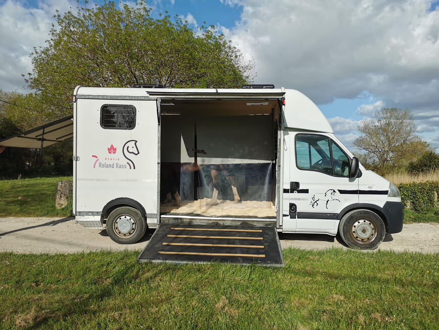 Espace et sécurité Aménagement intérieur spacieux pour chevaux et poulinières - Hygiène garantie